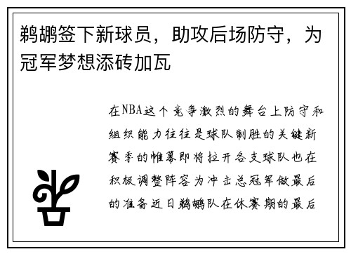 鹈鹕签下新球员，助攻后场防守，为冠军梦想添砖加瓦